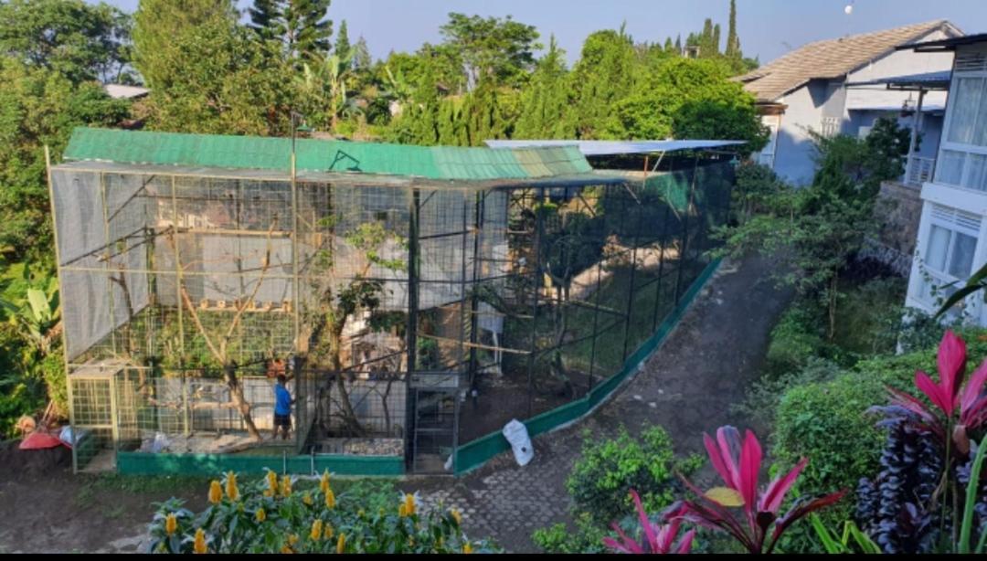 Villa Chacha At Macarena, Megamendung Εξωτερικό φωτογραφία