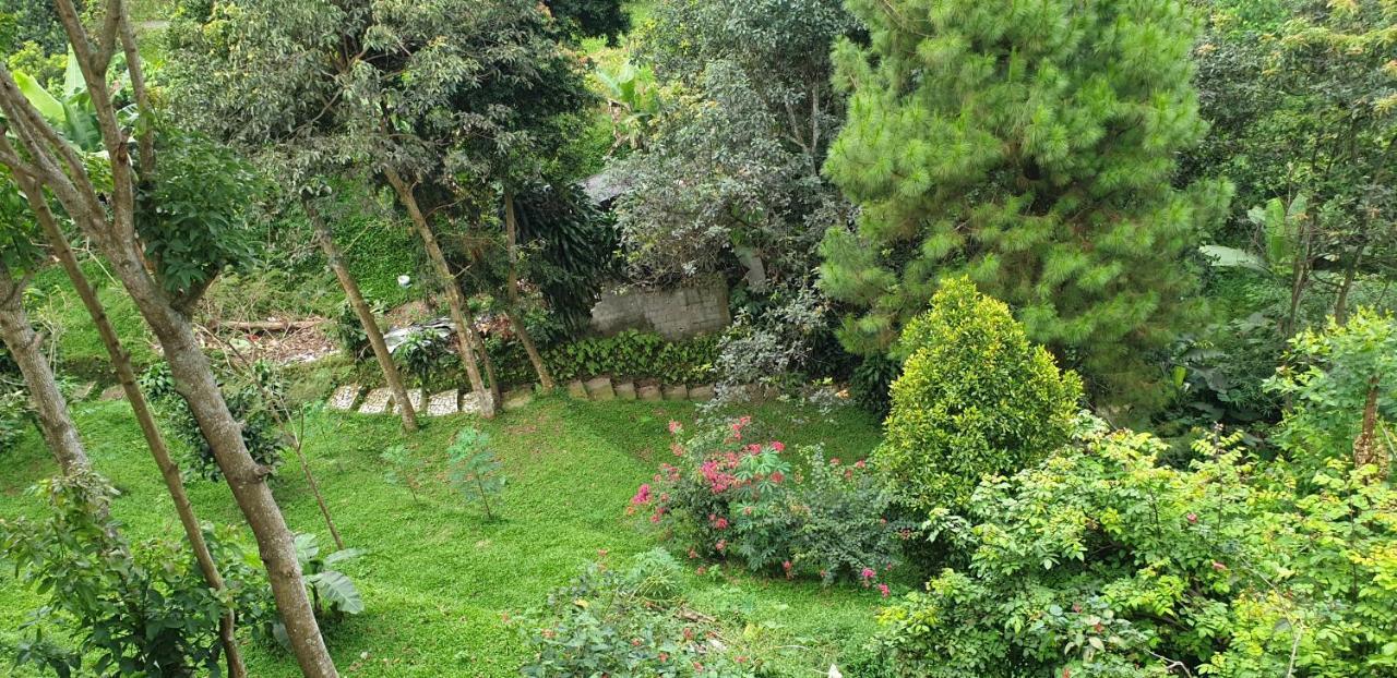 Villa Chacha At Macarena, Megamendung Εξωτερικό φωτογραφία